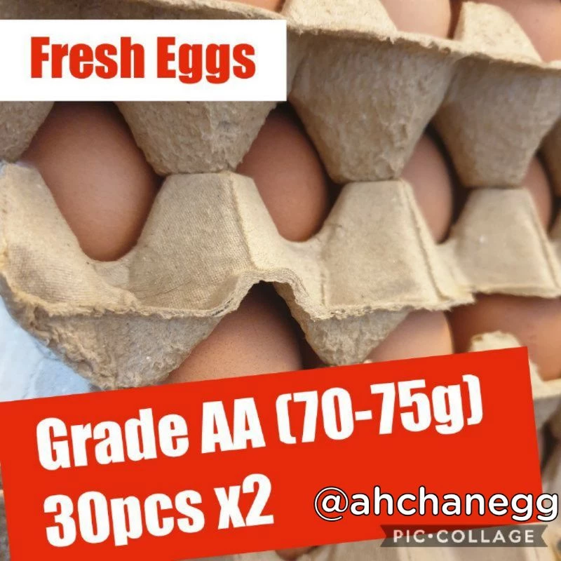 Fresh Eggs 30pcs x2 (Grade AA 70-75g)